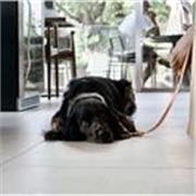 Profesora particular de Aleman para todas las edades hasta nivel B1