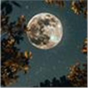 ?????? ?? ????? ??????? ?????? 6 ?????? ???? ????????? ?????????