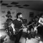 Profesor de Bajo Electrico para principiantes