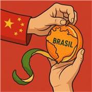 Professor de Programação e de Java eafins