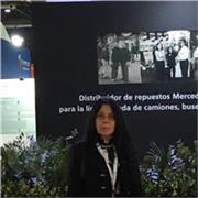 Profesora de Inglés durante 20 años en USA.Inglés Conversacional/ Todos los niveles/