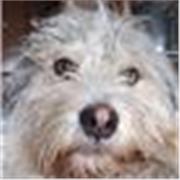 Estudiante de farmacia en la URJC, que sacó un 12,2 en la evau