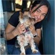 Insegnante italiano e altre materie online o in presenza