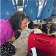 I can offer Functional Skills English and ESOL tuition as well as general conversational English.