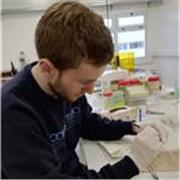 Profesor universitario de Física y Matemática ofrece clases particulares virtuales en España