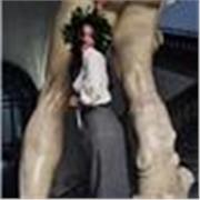Offro lezioni di storia dell'arte, fino all'arte dei giorni nostri! :)