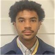 Professeur de lettres tous niveaux (grammaire, épreuves BAC, brevet, anticipation de l'hypokhâgne) professeur de FLE