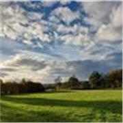 Professeure d'anglais, expérience avec tous les niveaux de la maternelle au cours pour adulte