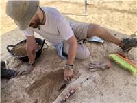 Profesor de historia particular. Además de estar finalizando estudios de Arqueología en la Universidad de Sevilla