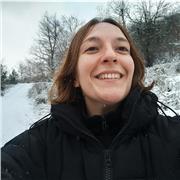 Doy clases de Lengua Castellana y Literatura, filosofía, historia, historia del arte, latín y griego