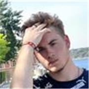 Studente di Lettere, professionale, amante di tutte le materie umanistiche