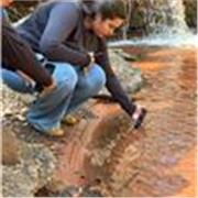 Estudante de engenharia florestal, cursei disciplimas como sementes , ecologogia , hidrologia , matemática , calculo , fisica