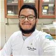 Professor de reforço para ensino fundamental, médio e superio