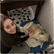 Studentessa universitaria poliglotta con esperienza nelle ripetizioni di: lingua inglese, spagnola e araba!