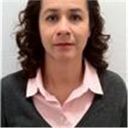 Apoyo Profesor Remoto