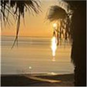 Clases de lectura de Corán, pronunciación y memorización para niñas y principiantes