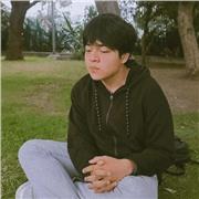 Opción 2: Clases particulares de programación análisis de algoritmos y bases de datos para nivel superior y medio superior