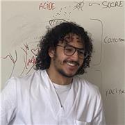 Cours en ligne avec un étudiant en 5eme année d'odontologie