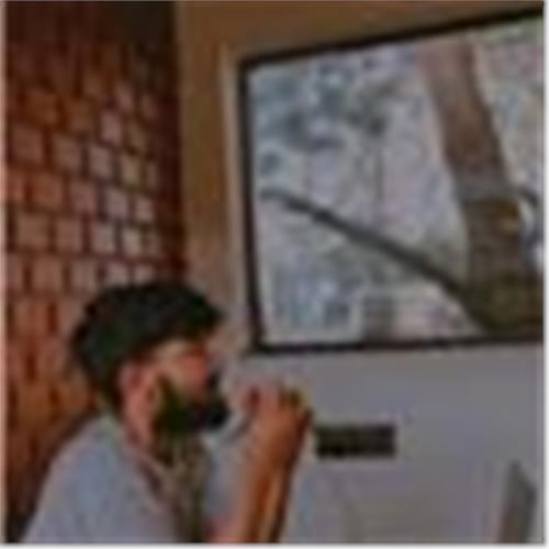 user photo