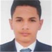profesor de informatica