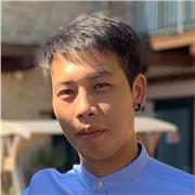 Studente universitario da ripetizioni/aiuto su compiti di matematica