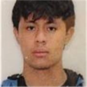 Maestro de Español para clases virtuales