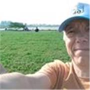 Maestro de español se ofrece para estudiantes o turistas extranjeros en Argentina