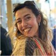 Cours de soutien, perfectionnement de la langue, remise en route de la langue et apprentissage pour les débutants