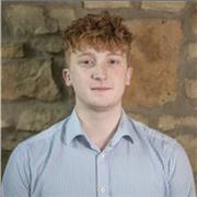 History, English, Government and Politics Tutor. GCSE and A Level