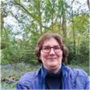 KS3 experienced online maths tutor offering summer booster class(es)