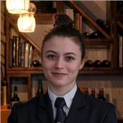 Offro ripetizioni e aiuto compiti a ragazzi della scuola medie e superiori