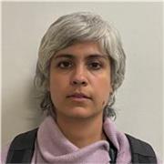 Profesor de español, todos los niveles, online