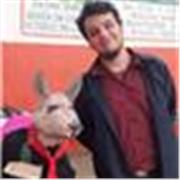 Profesor de nivel secundario y terciario en lengua y literatura