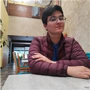 Ingeniero de sistemas con experiencia en programación
