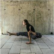 Cours de Yoga tous niveaux (styles Ashtanga Vinyasa, Hatha, Yin, Nidra) à domicile ou en entreprise