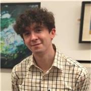Doctoral researcher specialising in history with five years experience as an educator
