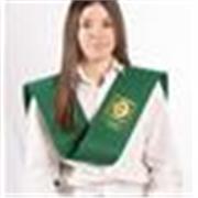 Profesor de Primaria apto para reforzar el aprendizaje de l@s alumnos en diversas materias 