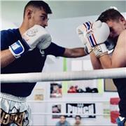 Cours de boxe anglaise / boxe thaïlandaise tout niveau