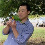 Chinese tutoring for all ages