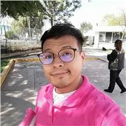 Apoyo en tareas de primaria