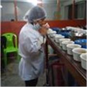 Cultivo y comercializacion organico de hongos o setas comestibles