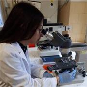 Ripetizioni per tutte le materie delle scuole medie