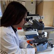 Ripetizioni per tutte le materie delle scuole medie