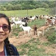 ¿Necesitas apoyo para fortalecer tus conocimientos en el área veterinaria? Ofrezco clases personalizadas dirigidas a estudiantes d