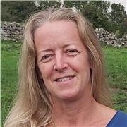 Vietnamese, Chinese, Business & Entrepreneurship, and Journalism tutor