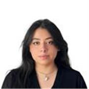 Profesional en ciencia politica con especializacion en estado, politicas publica y desarrollo