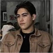 Maestro de de guía y consejero para programación, conocimiento en paradigmas orientado a objetos, lineal y recursividad