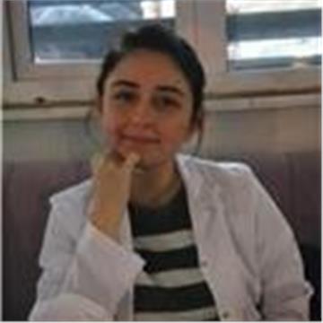 GIzem