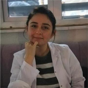 GIzem