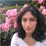 Spanisch lernen auf höchstem Niveau – mit spannenden Einblicken in Politik und Weltgeschehen